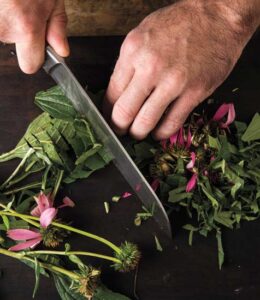 Prostate Health Tincture Guidelines Image